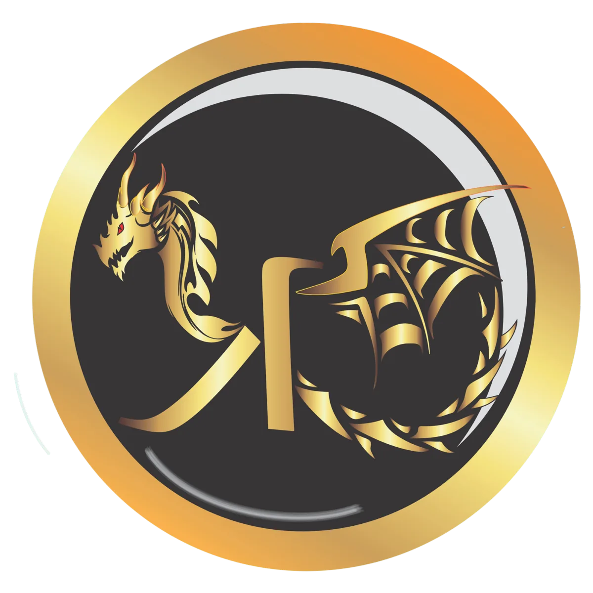 Dragon graphic design concept